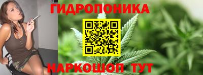 хмурый Дубна